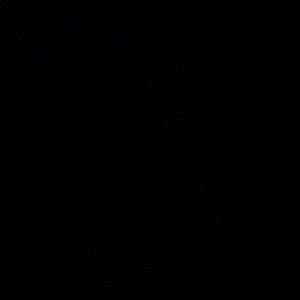 Meet your Posher, Faith